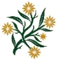 Wattle botanical mark